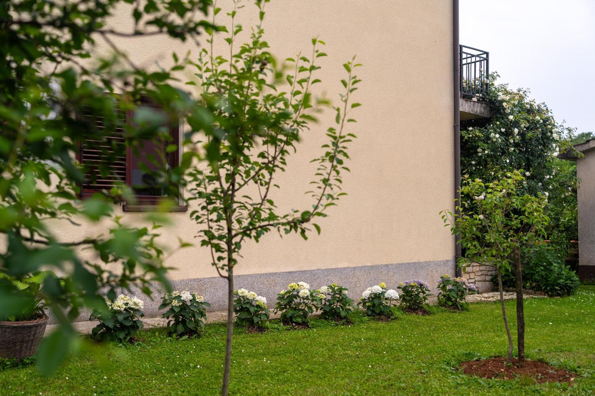 Blue Apartment Vrsar Exterior photo